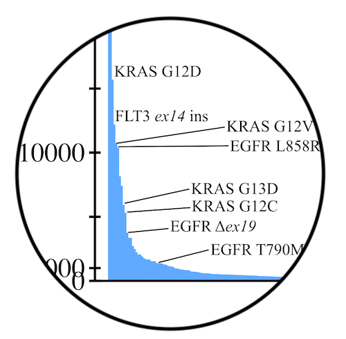 Plasmid Map